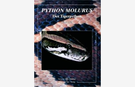 Python molurus  - Der Tigerpython