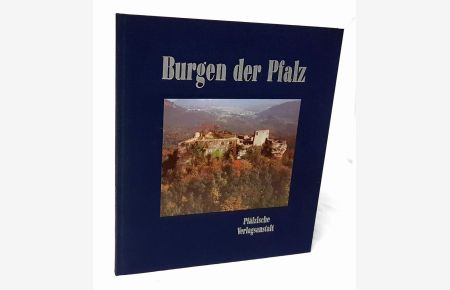 Burgen der Pfalz in Luftaufnahmen.