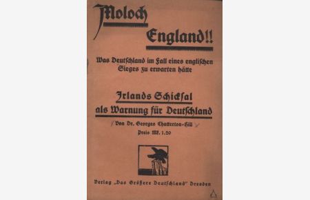 Moloch England !!, Irlands Schicksal als Warnung für Deutschland