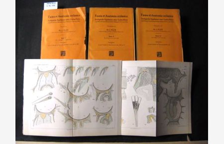 Fauna et Anatomica ceylanica.   - Zoologische Ergebnisse einer Ceylon-Reise ausgeführt mit Unterstützung der Ritter-Stiftung 1913/14 von L. Plate.