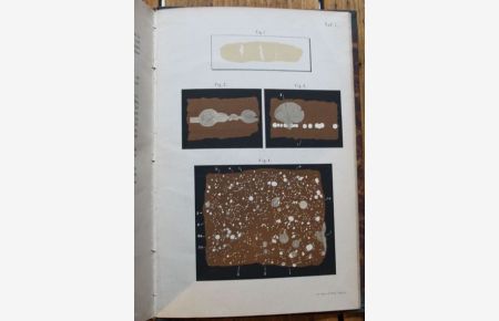 Die Methoden der Bakterien-Forschung Mit 2 Tafeln in Farbendruck und 31 Holzschnitten
