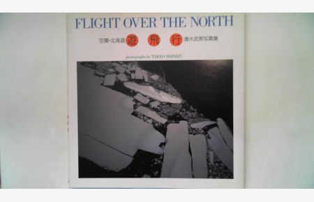 Takeo Shimizu - Flight over the North,