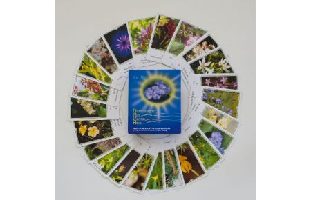 Bachblüten-Karten. Blütenkarten als Chance und Hilfe  - Kartenset mit allen 39 Bachblütenfotos