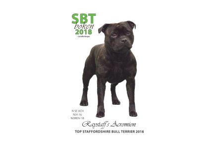 SBTboken 2018 english version  - Norwegian SBT Annual 2018 (eng)