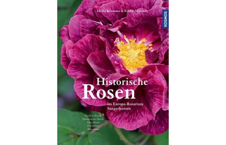 Historische Rosen  - im Europa-Rosarium Sangerhausen