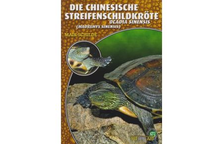 Die Chinesische Streifenschildkröte (Softcover)