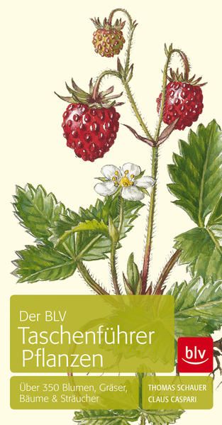 Der BLV-Taschenführer Pflanzen : über 350 Blumen, Gräser, Bäume & Sträucher Thomas Schauer ; Claus Caspari - Schauer, Thomas und Claus Caspari