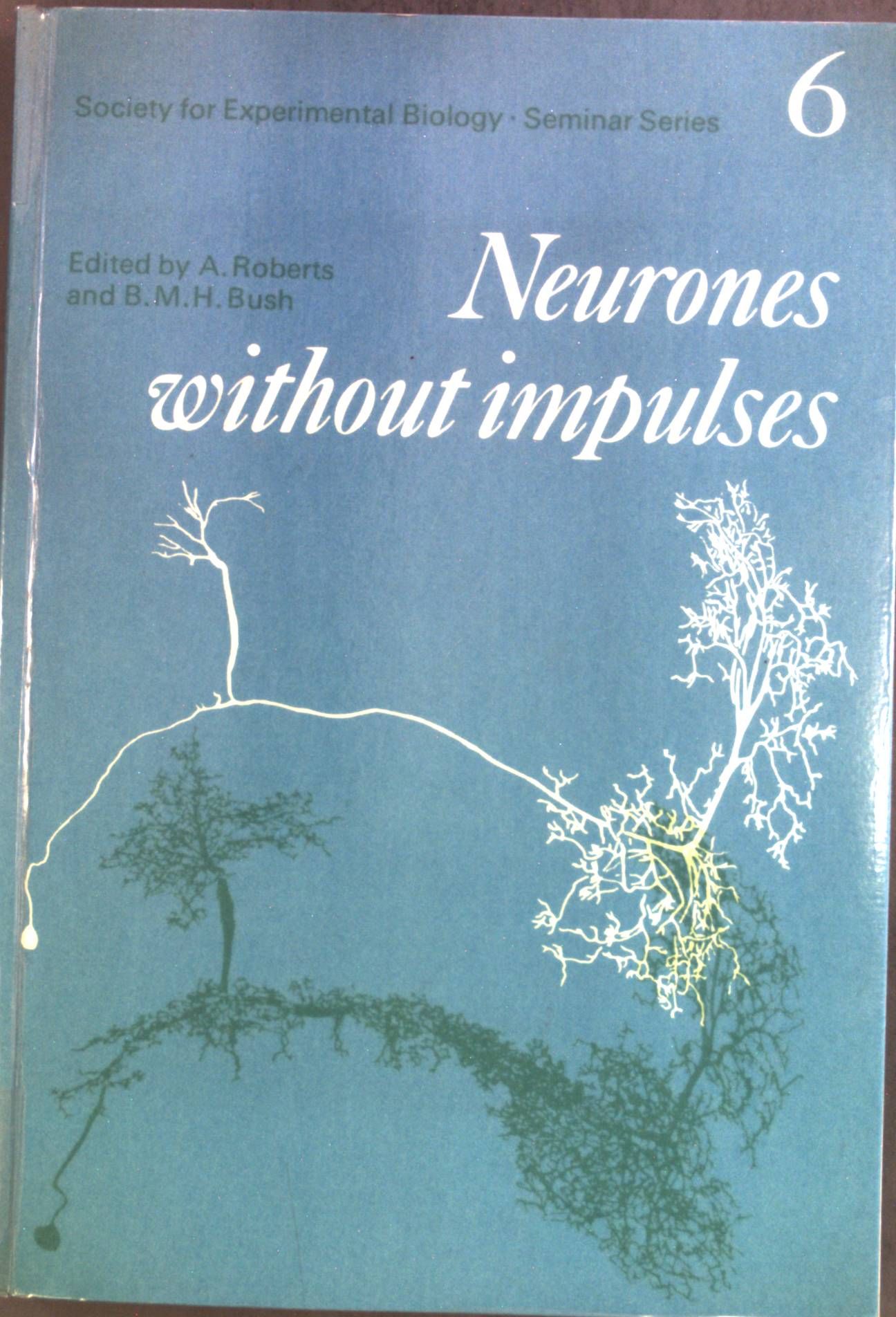 Neurones without Impulses: Their Significance for Vertebrate and Invertebrate Nervous Systems (Society for Experimental Biology Seminar Series, Band 6 - Roberts, Alan