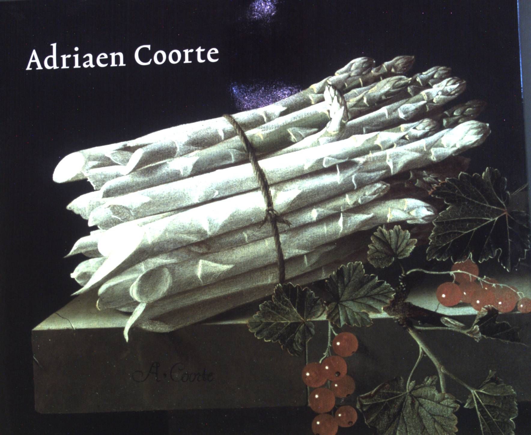 The still lifes of Adriaen Coorte (active c. 1683-1707). - Coorte, Adriaen und Quentin Buvelot