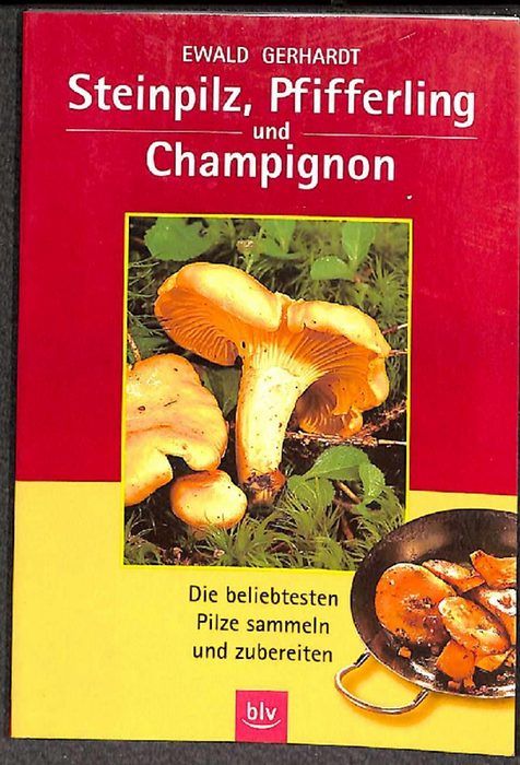 Steinpilz, Pfifferlinge und Champignon: Die beliebtesten Pilze sammeln und zubereiten