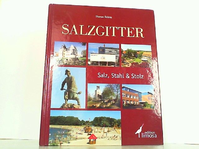 Salzgitter - Salz, Stahl und Stolz. - Salzgitter - Dahms, Thomas