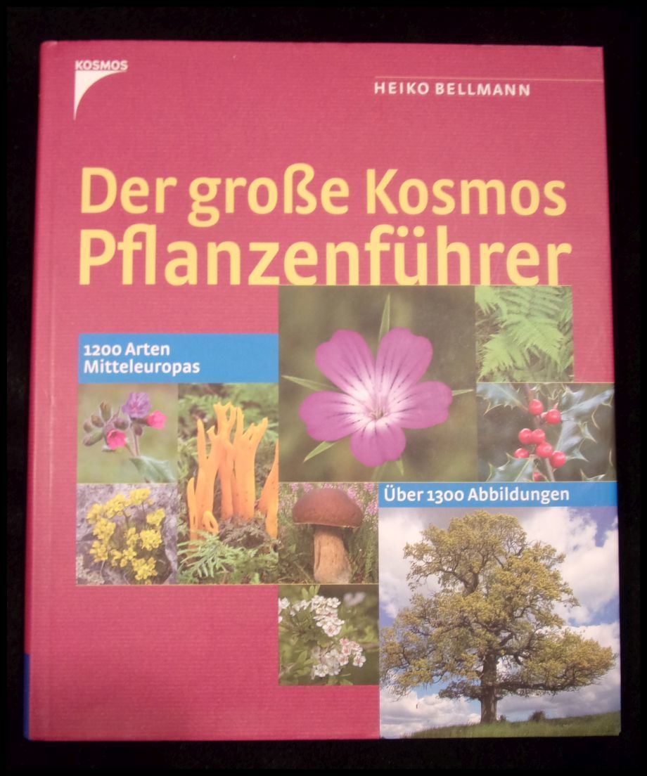 Der große Kosmos Pflanzenführer: 1200 Arten Mitteleuropas - Bellmann, Heiko