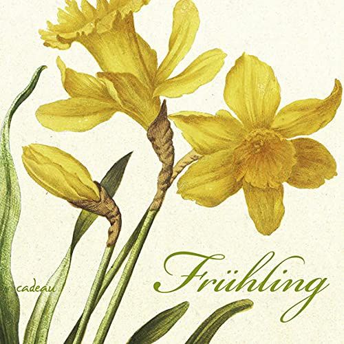 Frühling: Ein Poesiealbum - zusammengestellt von Günter Berg Frühling - Berg, Günter