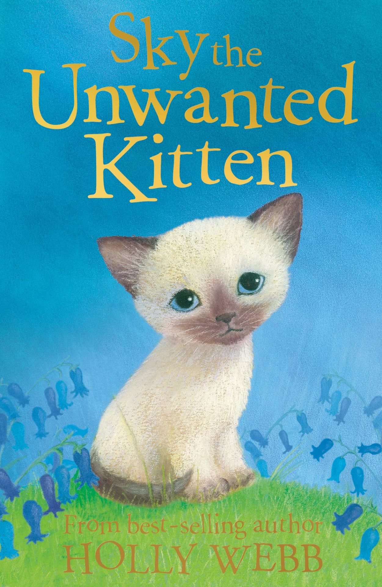 Sky the Unwanted Kitten (Holly Webb Animal Stories, Band 6) - Webb, Holly und Sophy Williams