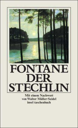 Der Stechlin. Mit e. Nachw. von Walter Müller-Seidel / Insel-Taschenbuch ; 152 - Fontane, Theodor
