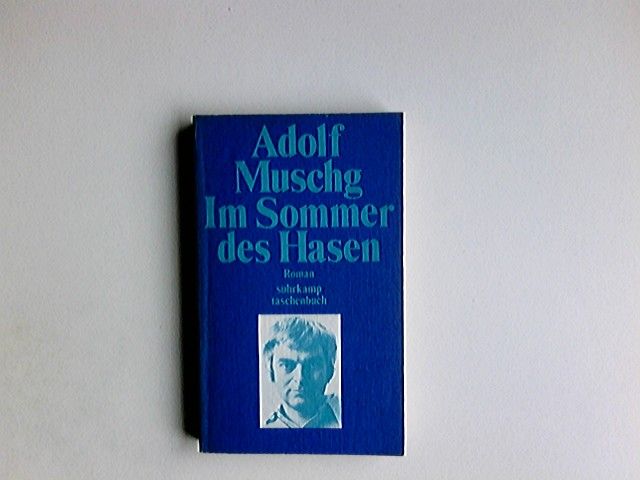 Im Sommer des Hasen : Roman. surhrkamp-taschenbücher ; 263 - Muschg, Adolf