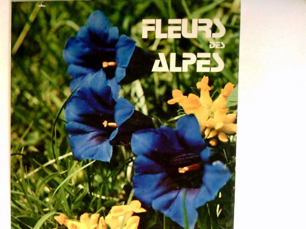 Fleurs des Alpes  Editions Alphabet - Zwerger, Georg