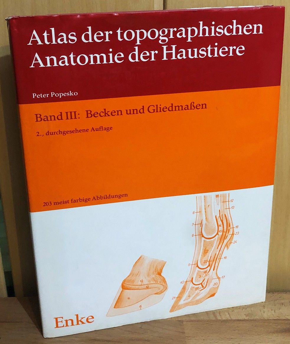 Atlas der topographischen Anatomie der Haustiere Band III: Becken und Gliedmaßen - Popesko, Peter