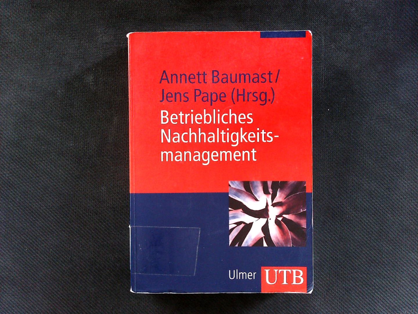Betriebliches Nachhaltigkeitsmanagement: Mit Übungsfragen und Fallbeispielen. UTB ; Bd.-Nr. 3676. - Baumast, Annett und Jens Pape