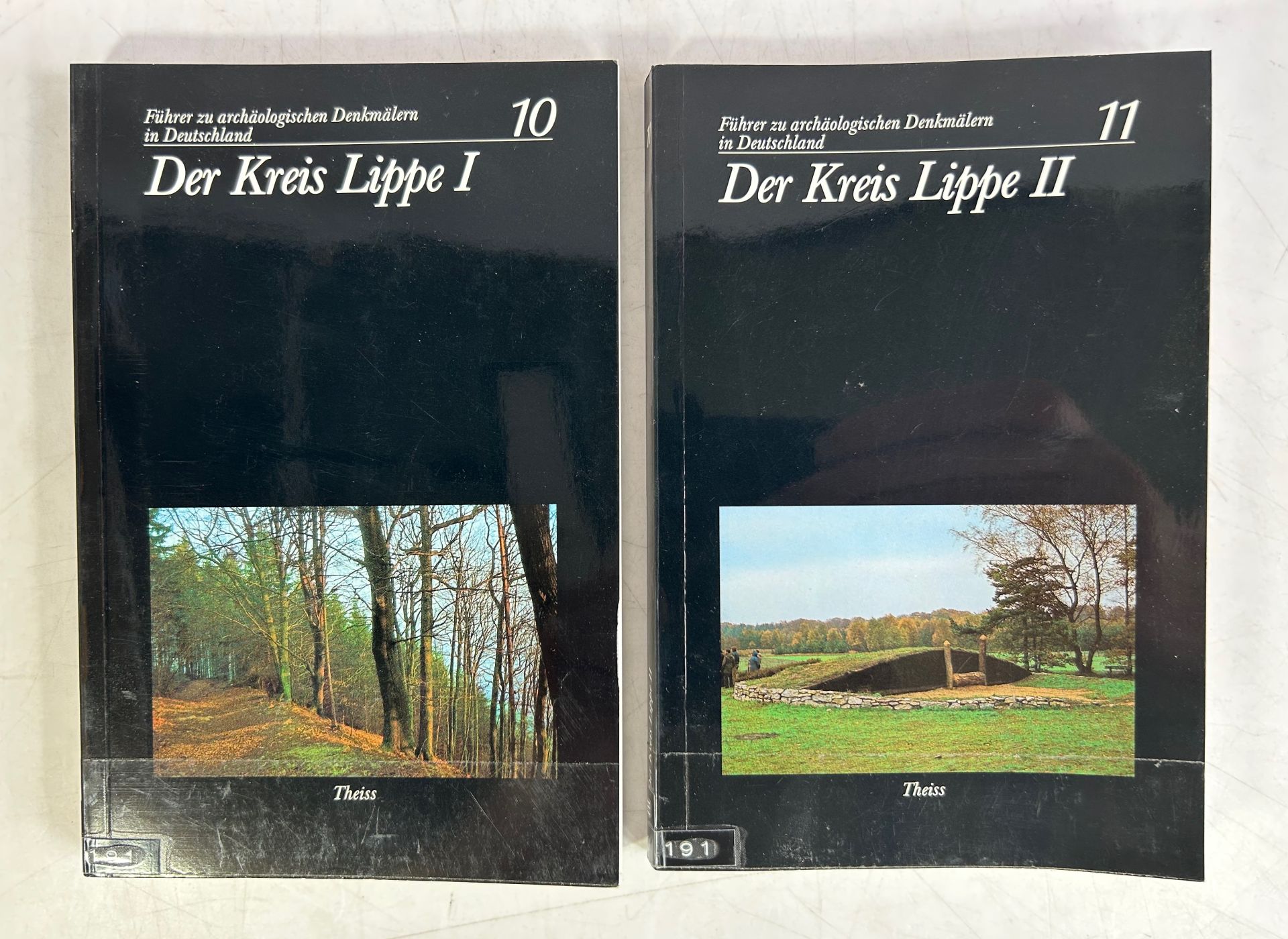 Der Kreis Lippe. Teil I: Einführende Aufsätze; Teil II: Objektbeschreibungen. Zwei Bände. (= Führer zu archäologischen Denkmälern in Deutschland, Band 11 und 12).