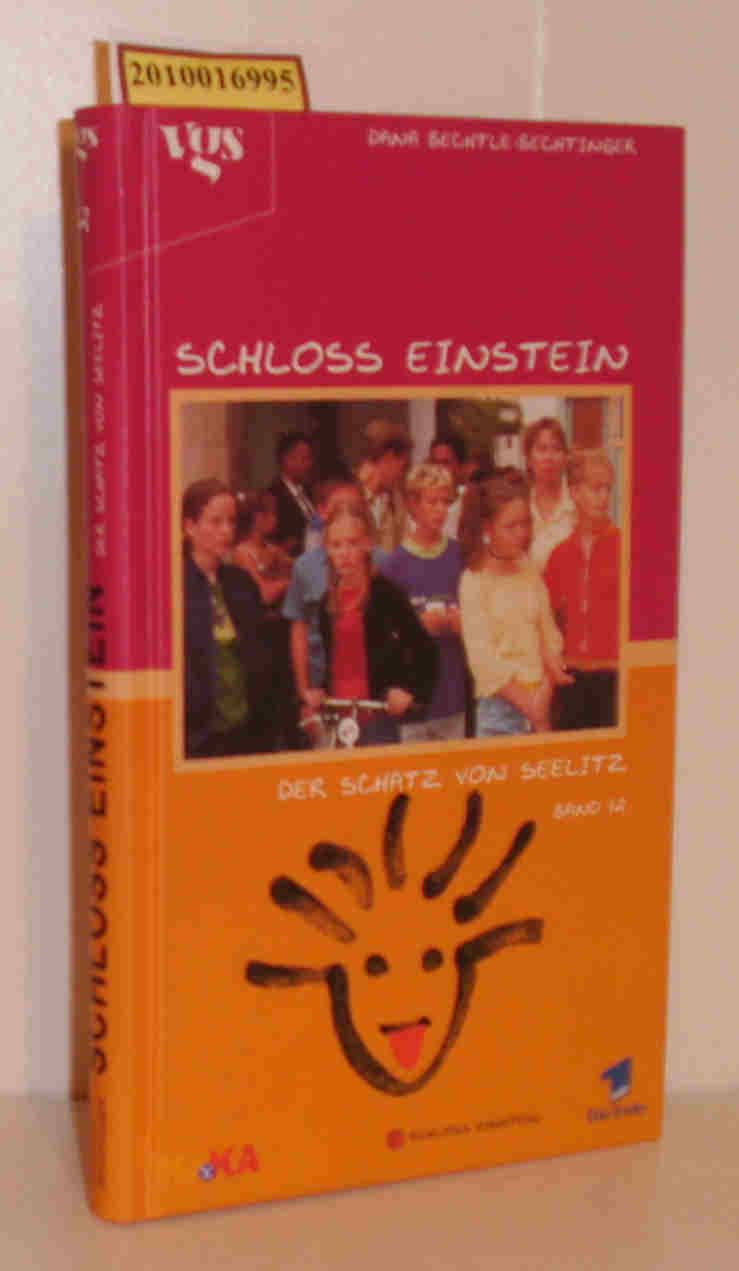 Schloss Einstein Der Schatz von Seelitz, Bd. 12 - Dana Bechtle-Bechtinger