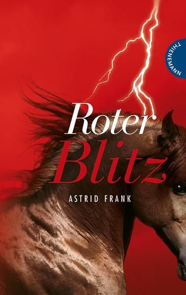 Roter Blitz - Frank, Astrid und Niklas Schütte
