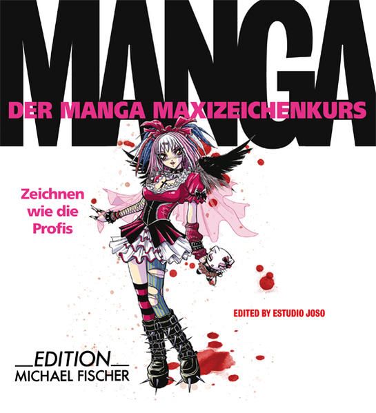 Manga: Zeichnen wie die Profis (Der Manga Maxizeichenkurs)