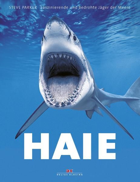 Haie: Faszinierende und bedrohte Jäger der Meere