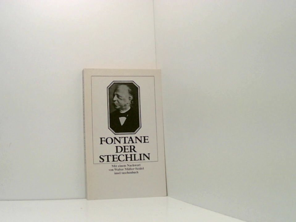 Der Stechlin (insel taschenbuch) Theodor Fontane. Mit einem Nachw. von Walter Müller-Seidel - Fontane, Theodor