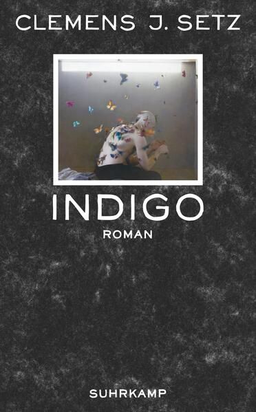 Indigo: Roman (suhrkamp taschenbuch) - Setz Clemens, J. und Judith Schalansky