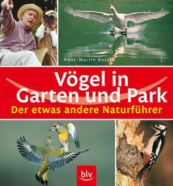 Vögel in Garten und Park Hans-Martin Busch - Hans-Martin Busch, Hans M