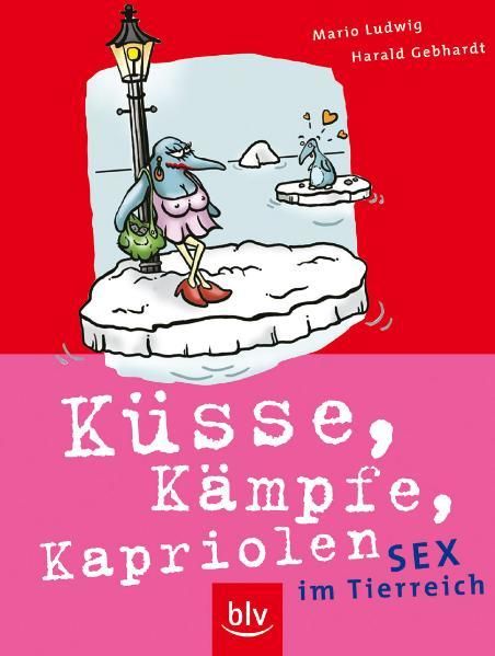 Küsse, Kämpfe, Kapriolen Sex im Tierreich - Ludwig, Mario, Mario Gebhard  und Sandra Menke