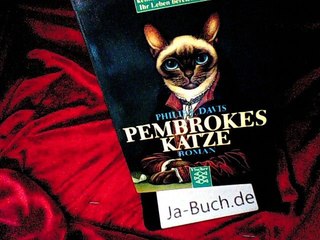 Pembrokes Katze: Roman - Davis, Philip J