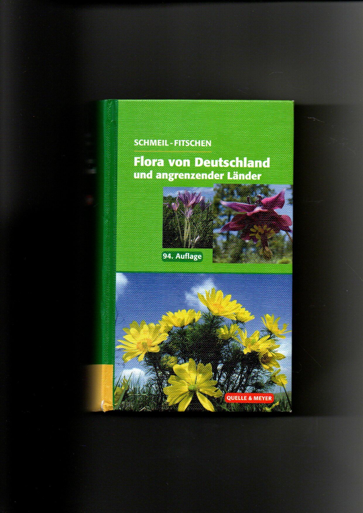 Schmeil Fitschen, Flora von Deutschland / 94. Auflage - Schmeil, Otto (Verfasser), Jost (Verfasser) Fitschen und Siegmund (Mitwirkender) Seybold