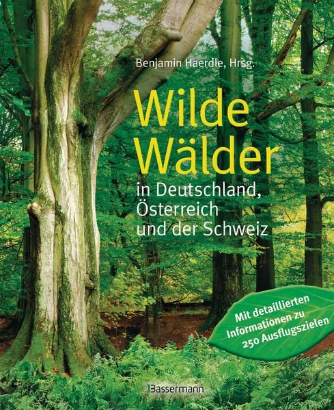 Wilde Wälder: in Deutschland, Österreich und der Schweiz in Deutschland, Österreich und der Schweiz - Haerdle, Benjamin