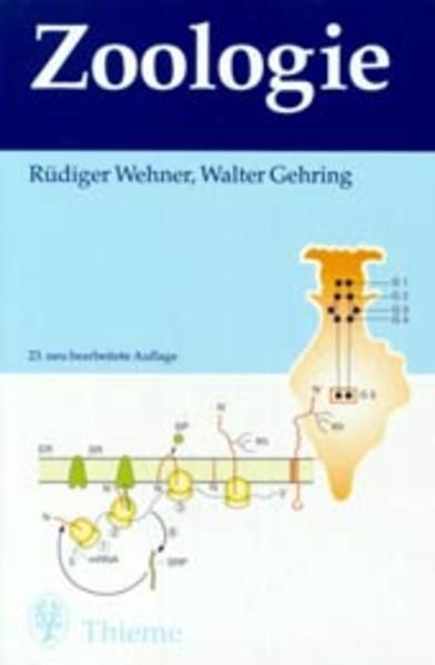Zoologie - Wehner, Rüdiger, Walter Gehring und Alfred Kühn
