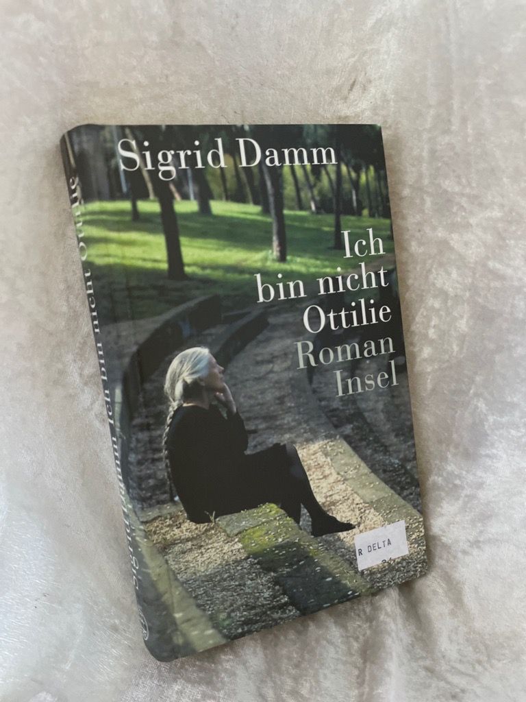 Ich bin nicht Ottilie: Roman Roman - Damm, Sigrid