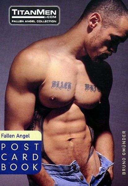 Best of Fallen Angel (Postcardbook) - Men, Titan