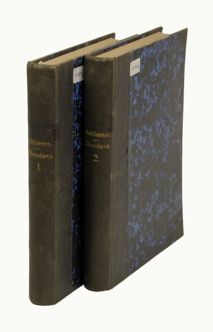 Der deutsche Minnesang. Eine Darstellung seiner Geschichte, seines Wesens und seiner Formen. 2 Bände. - Lechleitner, Franz.