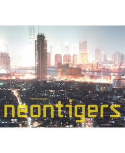neontigers  - Photographs of Asian Megacities
