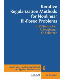 Iterative Regularization Methods for Nonlinear Ill-Posed Problems