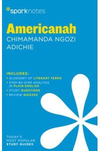 Americanah: Chimamanda Ngozi Adichie (Sparknotes Literature Guide)