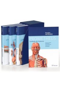 PROMETHEUS LernPaket Anatomie: LernAtlas Anatomie Schünke, Michael; Schulte, Erik and Schumacher, Udo