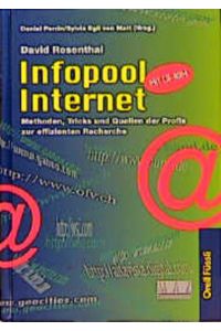 Infopool Internet. Methoden, Tricks und Quellen der Profis zur effizienten Recherche