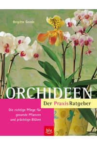 Orchideen. Der Praxis-Ratgeber