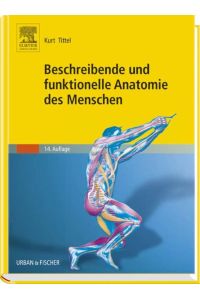 Beschreibende und funktionelle Anatomie des Menschen