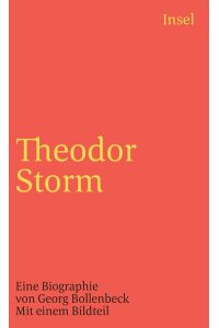 Theodor Storm: Eine Biographie. Mit einem Bildteil (insel taschenbuch)