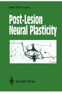 Post-Lesion Neural Plasticity