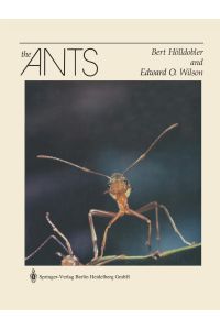 The ants.