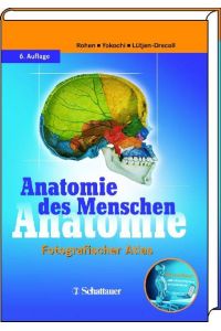 Anatomie des Menschen Johannes W Rohen; Chihiro Yokochi and Elke Lütjen-Drecoll